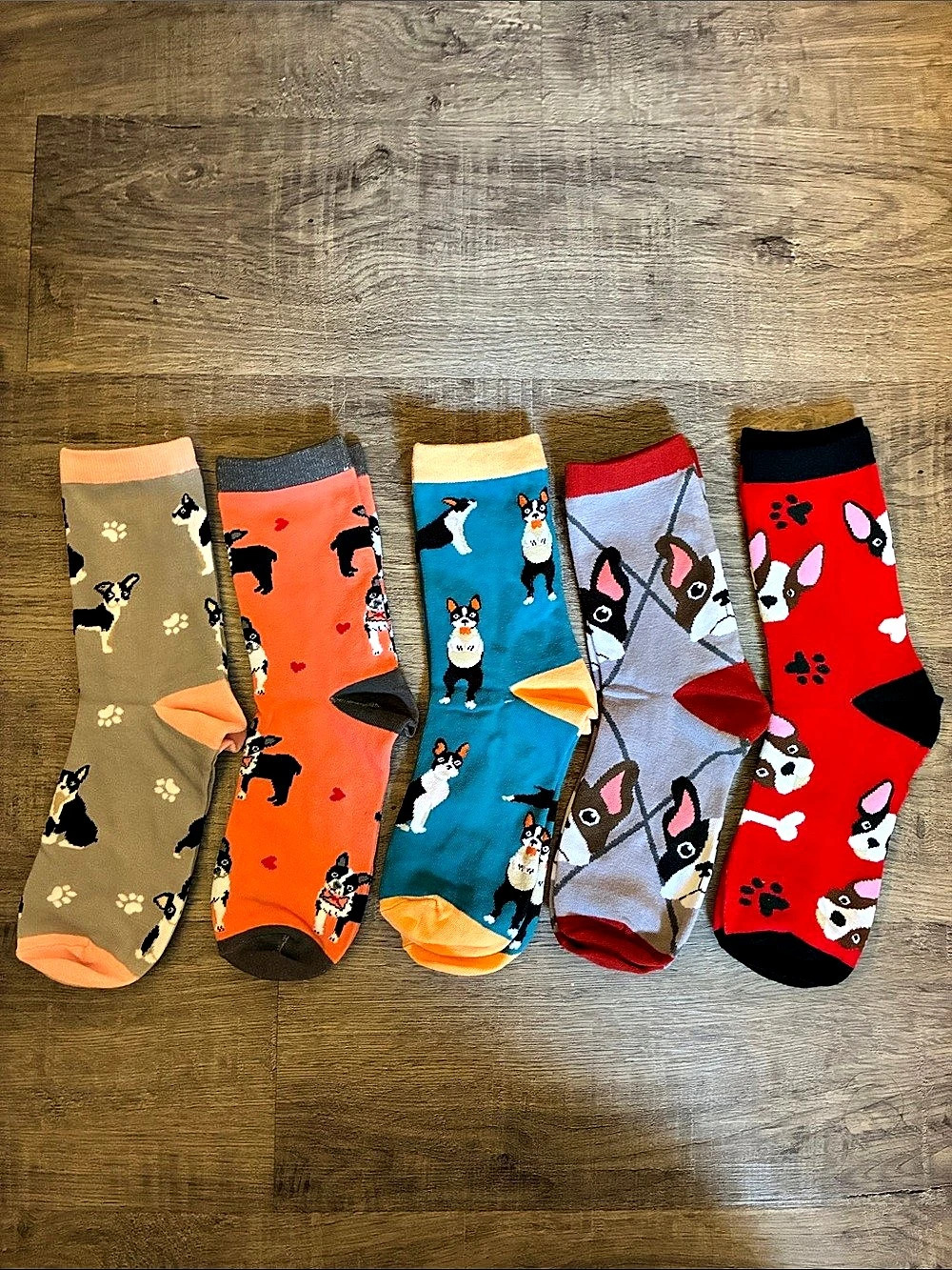 Frenchie Dog Pattern Socks Multicolor NWT set